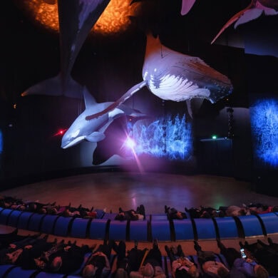 In einem halbrunden Saal hängen zwei riesige Wal-Plastiken über einer Bühne von der Decke. Die Wände umher sind mit einer blauen Lichtshow bespielt. Vor der Bühne sitzen viele Menschen im Halbkreis auf blauen Liegen.