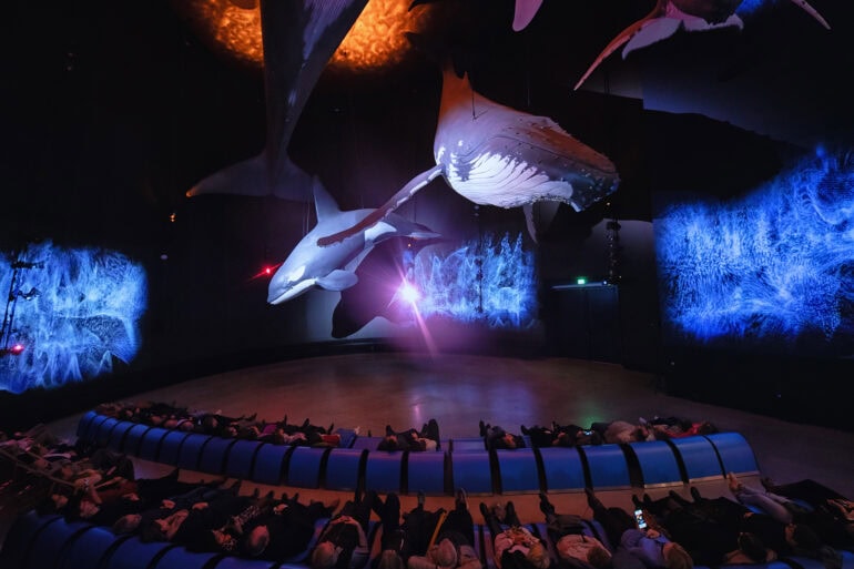 In einem halbrunden Saal hängen zwei riesige Wal-Plastiken über einer Bühne von der Decke. Die Wände umher sind mit einer blauen Lichtshow bespielt. Vor der Bühne sitzen viele Menschen im Halbkreis auf blauen Liegen.