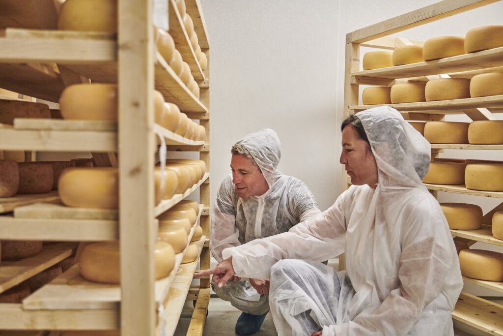 Two people in white protective suits are crouching in the storage area of a cheese factory in front of a wooden rack on which numerous cheese wheels are lying to mature.