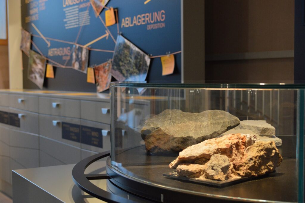 In a display case in a museum lies a piece of rock, illuminated from above. In the background, a wall chart shows a diagram of rock deposits.