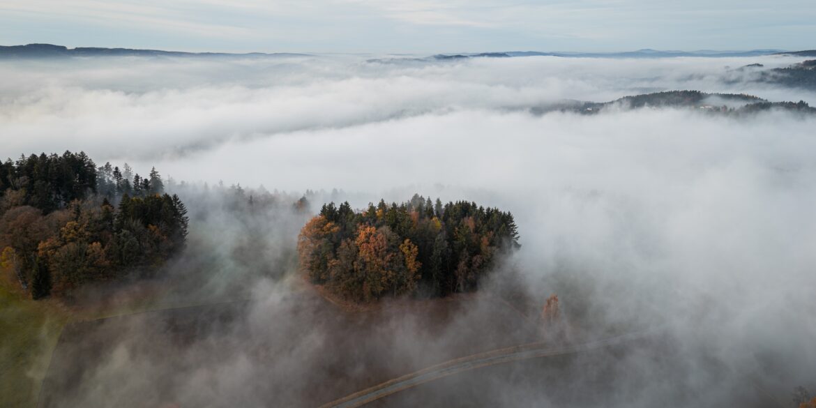 Drohennaufnahme eines Waldes, der von dichtem Nebel überdeckt ist. Nur an einzelnen Stellen geben die Schwaden den Blick auf die Bäume frai.