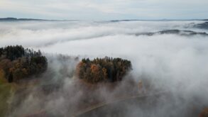 Drohennaufnahme eines Waldes, der von dichtem Nebel überdeckt ist. Nur an einzelnen Stellen geben die Schwaden den Blick auf die Bäume frai.