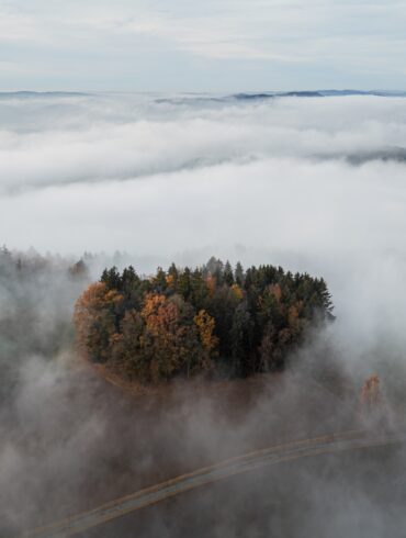 Drohennaufnahme eines Waldes, der von dichtem Nebel überdeckt ist. Nur an einzelnen Stellen geben die Schwaden den Blick auf die Bäume frai.