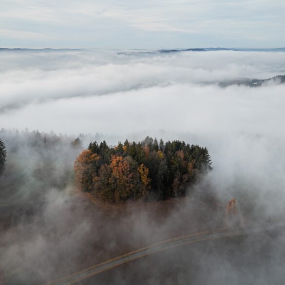Drohennaufnahme eines Waldes, der von dichtem Nebel überdeckt ist. Nur an einzelnen Stellen geben die Schwaden den Blick auf die Bäume frai.