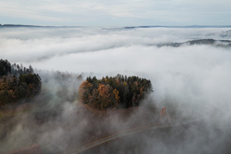 Drohennaufnahme eines Waldes, der von dichtem Nebel überdeckt ist. Nur an einzelnen Stellen geben die Schwaden den Blick auf die Bäume frai.