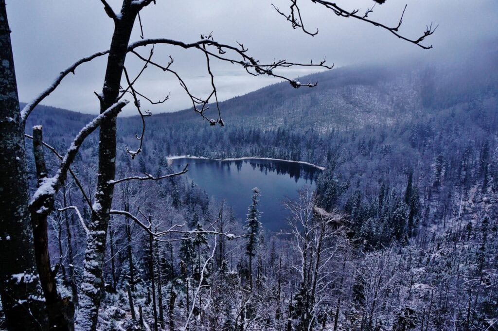 Von einer bewaldeten Anhöhe geht der Blick auf einen von verschneiten Nadelbäumen gesäumten, stillliegenden See, in dessen Oberfläche sich die umliegende Winterumgebung spiegelt.