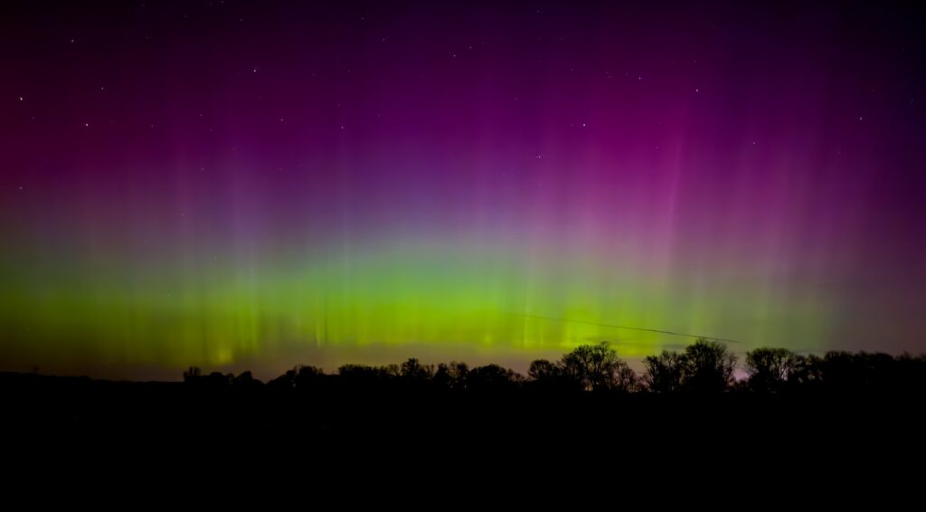 Über einem dunklen Waldstück scheinen grüne und lila Polarlichter am Nachthimmel.