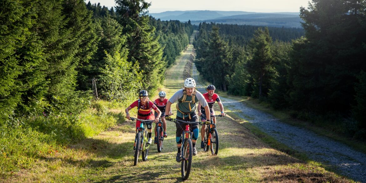 Eine Gruppe Mountainbiker fährt einen steilen Hang Richtung Betrachter, eingerahmt von dichtem Wald auf beiden Seiten der Strecke.