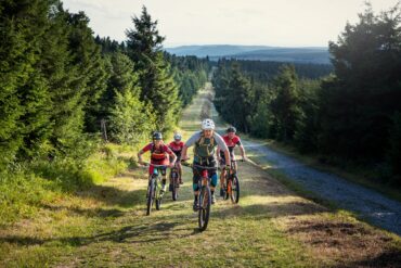 Eine Gruppe Mountainbiker fährt einen steilen Hang Richtung Betrachter, eingerahmt von dichtem Wald auf beiden Seiten der Strecke.