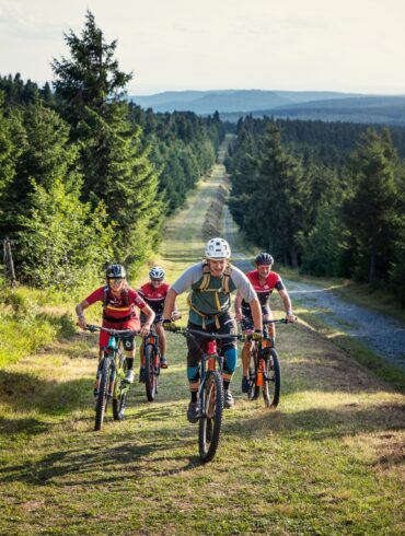 Eine Gruppe Mountainbiker fährt einen steilen Hang Richtung Betrachter, eingerahmt von dichtem Wald auf beiden Seiten der Strecke.