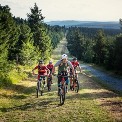 Eine Gruppe Mountainbiker fährt einen steilen Hang Richtung Betrachter, eingerahmt von dichtem Wald auf beiden Seiten der Strecke.