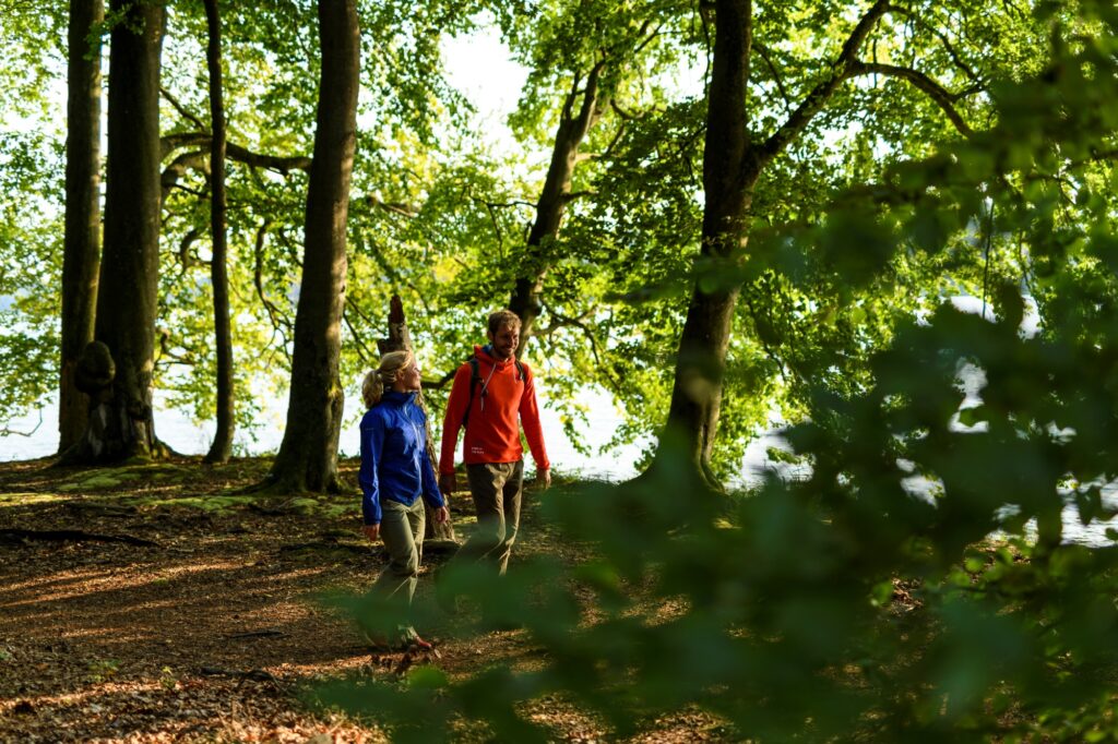Ein Mann und eine Frau in Outdoorkleidung wandern auf einem Feldweg in einem grünen Wald.