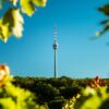 Vor einem blauen Himmel zeichnet sich der Stuttgarter Fernsehturm ab, eingerahmt von einigen grünen Blättern im Vordergrund.