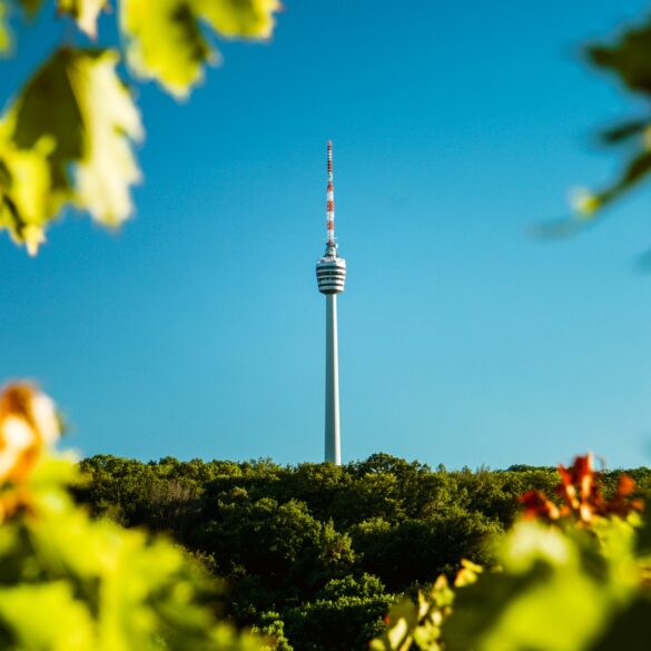 Vor einem blauen Himmel zeichnet sich der Stuttgarter Fernsehturm ab, eingerahmt von einigen grünen Blättern im Vordergrund.