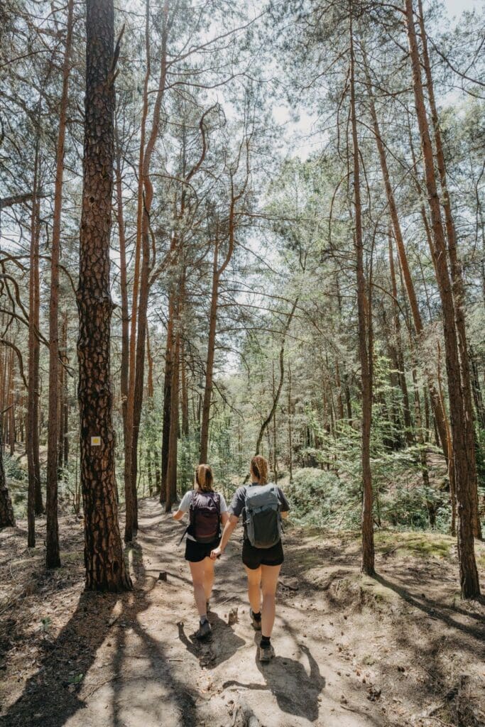Zwei junge Frauen in sommerlicher Outdoorkleidung wandern durch einen lichten Nadelwald vom Betrachter weg.