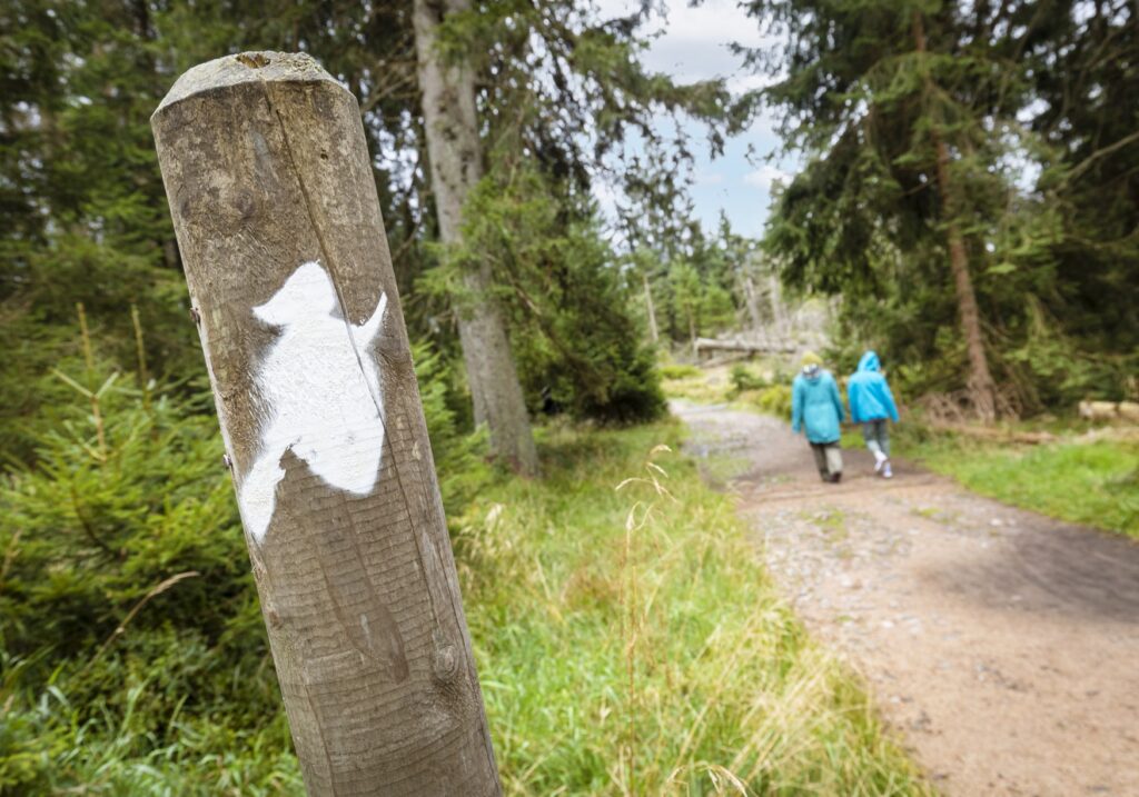 The silhouette of a flying witch is spray-painted on a post by a forest path. In the background, two people are walking along the path.