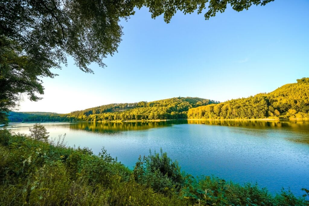 Über ein Gebüsch geht der Blick auf einen weiten See im gelben Licht der Sommersonne. Auf der gegenüberliegenden Seite liegen mehrere mit Wald bewachsene Hügel
