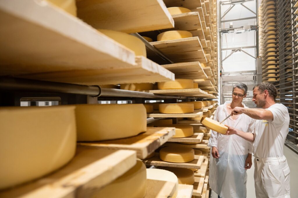 Two people in white lab coats are examining a wheel of cheese in the aging cellar at the Bauhofer Cheese Factory, surrounded by wooden shelves densely packed with aged cheese wheels.