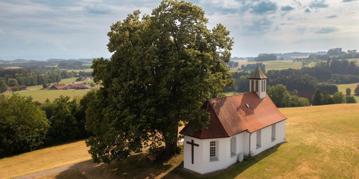 Aerial view of the Holy Cross Chapel on a hilltop surrounded by meadows, next to a large deciduous tree, with the rolling hills of Upper Swabia in the background.