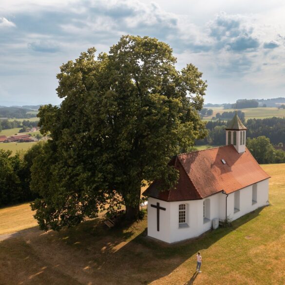 Aerial view of the Holy Cross Chapel on a hilltop surrounded by meadows, next to a large deciduous tree, with the rolling hills of Upper Swabia in the background.