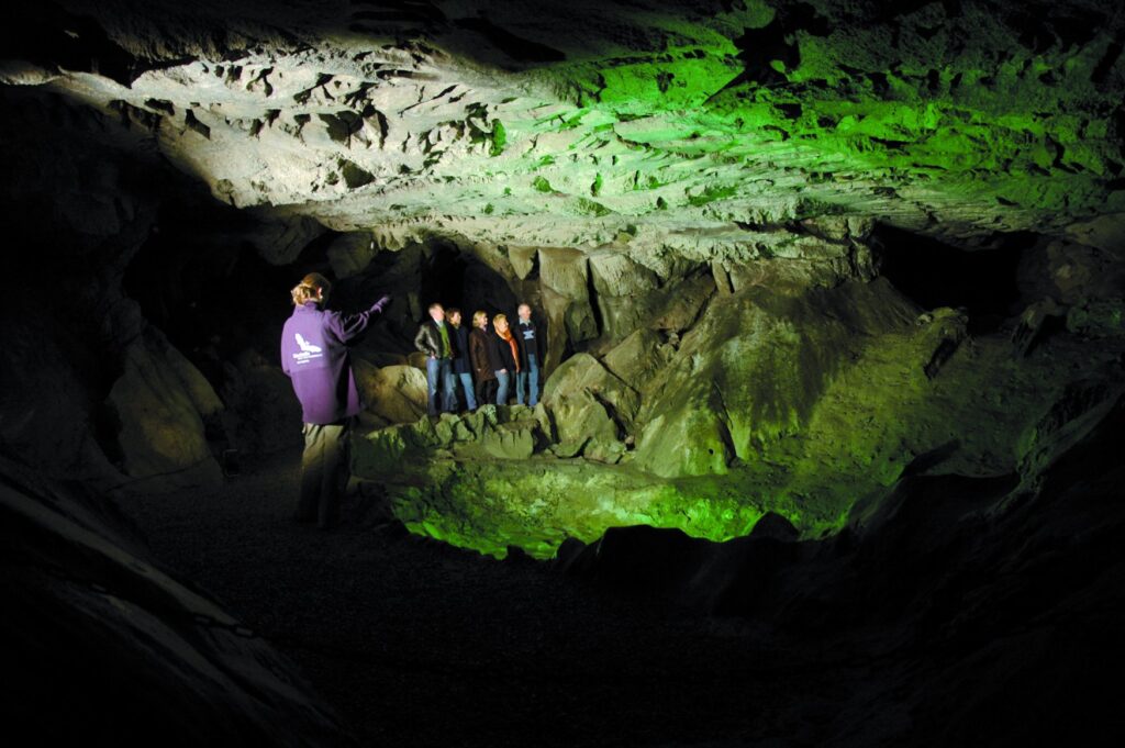 Führung in der Kalkberghöhle Bad Segeberg: Eine Guide zeigt einer Gruppe in der grün beleuchteten Höhlenkammer auf die Felsformationen.