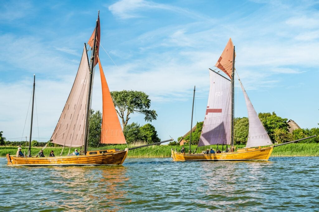 Zwei hölzerne Zeesboote mit braunen und roten Segeln gleiten über das ruhige Boddengewässer. Am schilfbewachsenen Ufer stehen Bäume und ein reetgedecktes Haus.