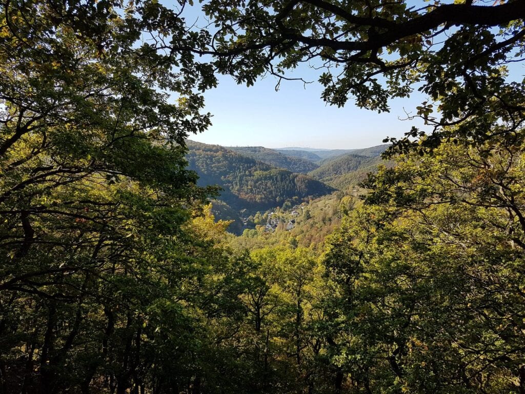 Blick durch überhängende Eichenzweige, das sogenannte Dickschieder Fenster im Taunus, auf ein bewaldetes Tal mit einem kleinen Ort und Windrädern am Horizont.