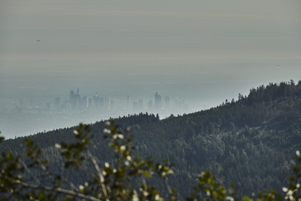 Blick vom bewaldeten Großen Feldberg im Taunus auf die im Dunst liegende Skyline von Frankfurt am Main, im Vordergrund unscharfe Zweige.
