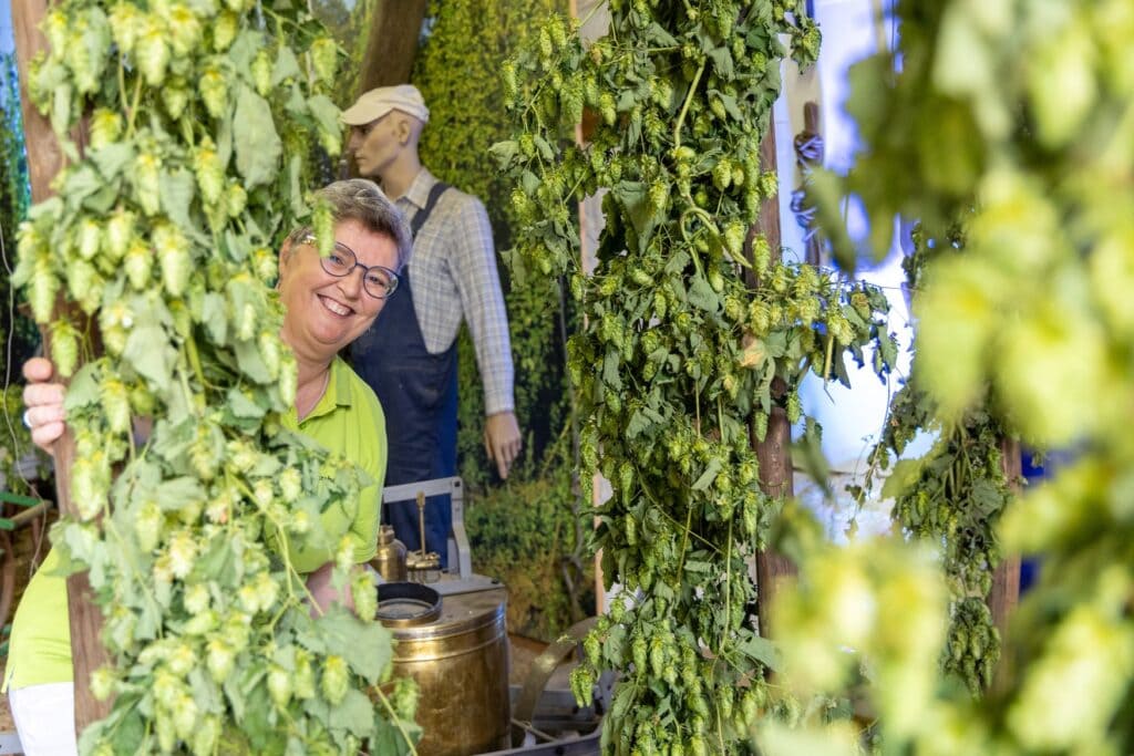 Eine Frau schaut im Hopfenmuseum Speikern zwischen aufgehängten Hopfenreben hindurch. Im Hintergrund steht eine Figur in Arbeitskleidung neben einem alten Kupfergerät.