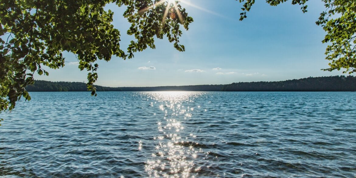 Blick durch überhängende Blätter auf den Stechlinsee in Brandenburg, die Sonne steht als Stern zwischen den Zweigen und glitzert auf dem Wasser, am Horizont ein bewaldetes Ufer.