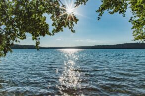 Blick durch überhängende Blätter auf den Stechlinsee in Brandenburg, die Sonne steht als Stern zwischen den Zweigen und glitzert auf dem Wasser, am Horizont ein bewaldetes Ufer.