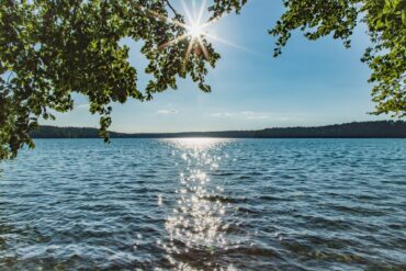 Blick durch überhängende Blätter auf den Stechlinsee in Brandenburg, die Sonne steht als Stern zwischen den Zweigen und glitzert auf dem Wasser, am Horizont ein bewaldetes Ufer.
