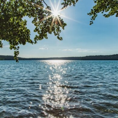Blick durch überhängende Blätter auf den Stechlinsee in Brandenburg, die Sonne steht als Stern zwischen den Zweigen und glitzert auf dem Wasser, am Horizont ein bewaldetes Ufer.