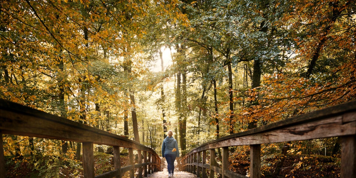 Frau spaziert im Bagno Park in Steinfurt. Der Herbst zeigt sich, buntes Laub zieht die Wälder entlang für Herbstausflüge im Münsterland.