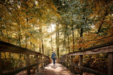Frau spaziert im Bagno Park in Steinfurt. Der Herbst zeigt sich, buntes Laub zieht die Wälder entlang für Herbstausflüge im Münsterland.