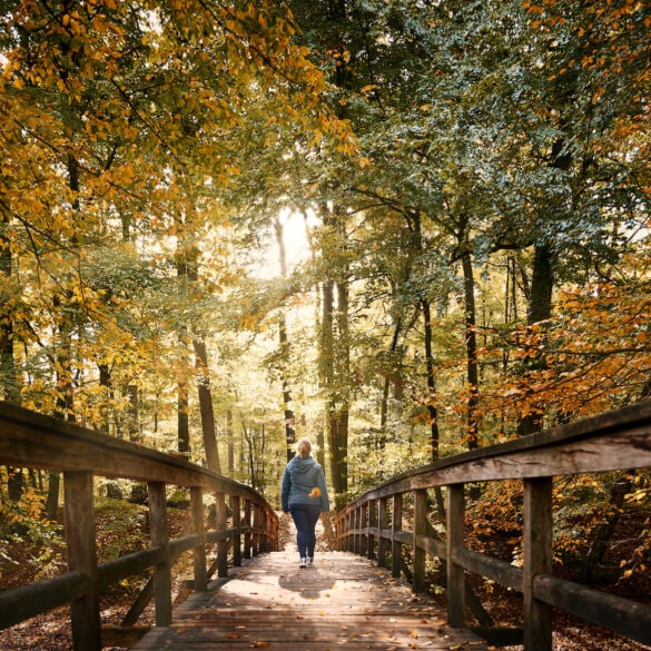 Frau spaziert im Bagno Park in Steinfurt. Der Herbst zeigt sich, buntes Laub zieht die Wälder entlang für Herbstausflüge im Münsterland.
