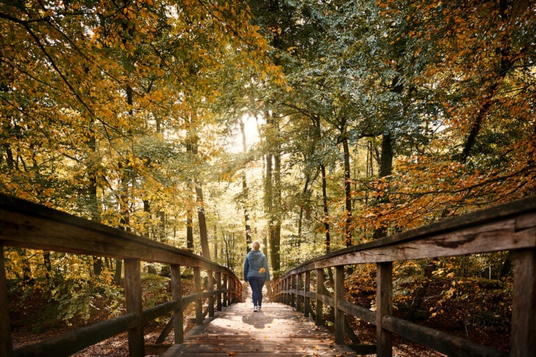 Frau spaziert im Bagno Park in Steinfurt. Der Herbst zeigt sich, buntes Laub zieht die Wälder entlang für Herbstausflüge im Münsterland.