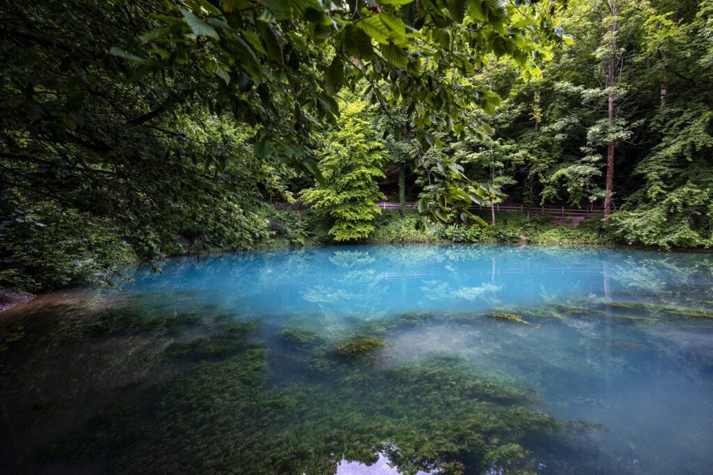 Die Karstquelle Blautopf bei Blaubeuren mit türkisblauem Wasser. Unter der Oberfläche sind bemooste Steine zu erkennen, ringsum steht dichter Laubwald.
