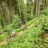 Zwei Mountainbiker auf einem Waldweg im Fichtelgebirge.