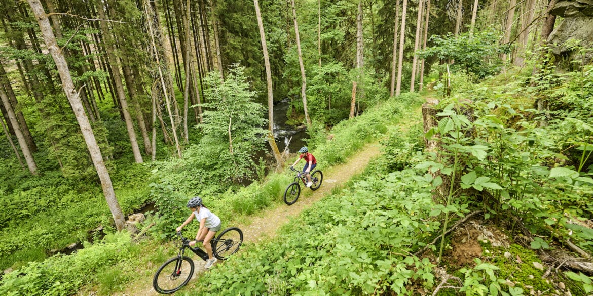 Zwei Mountainbiker auf einem Waldweg im Fichtelgebirge.