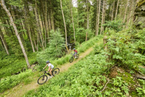 Zwei Mountainbiker auf einem Waldweg im Fichtelgebirge.