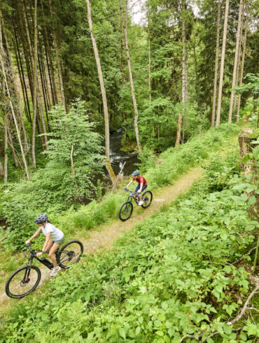 Zwei Mountainbiker auf einem Waldweg im Fichtelgebirge.