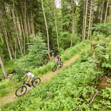 Zwei Mountainbiker auf einem Waldweg im Fichtelgebirge.