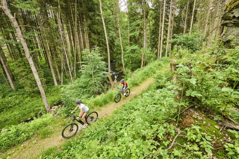 Zwei Mountainbiker auf einem Waldweg im Fichtelgebirge.
