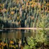 Blick auf den Arbersee im Ostbayern, umgeben von herbstlichem Wald.