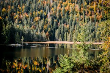 Blick auf den Arbersee im Ostbayern, umgeben von herbstlichem Wald.