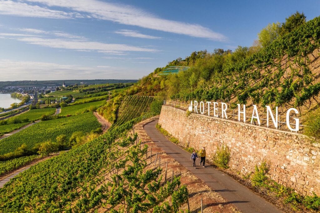 Wandern in Rheinhessen: Zwei Wandernde auf einem Weg durch die Weinberge am Roten Hang bei Nierstein. Im Hintergrund ist der Rhein zu sehen.
