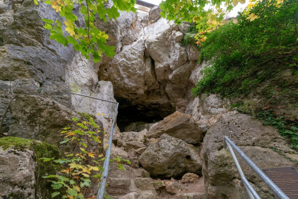 A dark cave mouth in a pale limestone cliff on the Swabian Alb, reached by a few rough steps between metal handrails. Maple branches with yellowing leaves frame the opening.