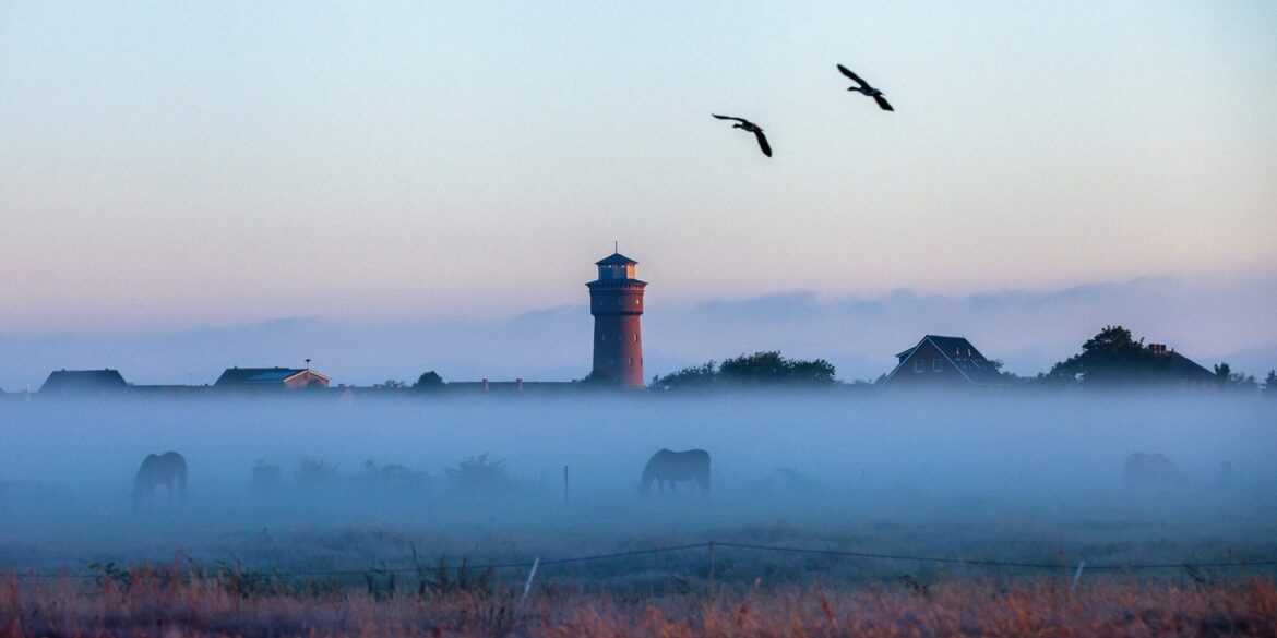 Über den Feldern von Borkum liegt in der Morgendämmerung eine Nebelbank, aus der nur die Dächer des Ortes und der rote Wasserturm ragen. Auf der Koppel im Nebel grasen Pferde, darüber fliegen zwei Vögel.