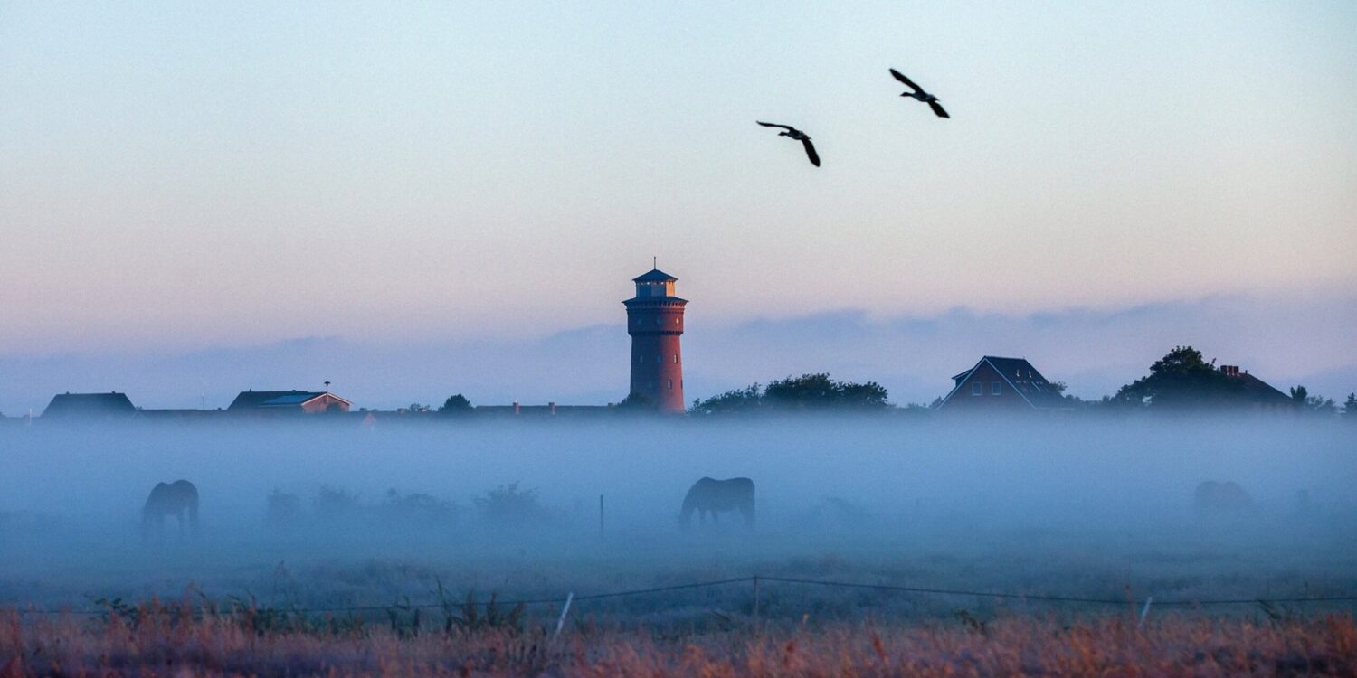 Über den Feldern von Borkum liegt in der Morgendämmerung eine Nebelbank, aus der nur die Dächer des Ortes und der rote Wasserturm ragen. Auf der Koppel im Nebel grasen Pferde, darüber fliegen zwei Vögel.